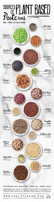 Plant Based Protein Sources Dietetics Whole Food Recipes