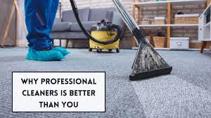 why professional home carpet cleaners