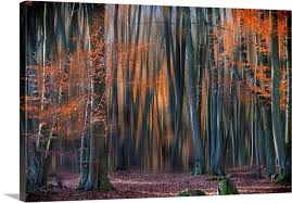 Enchanted Forest Wall Art Canvas