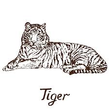 Simple, direct language and 125 purposeful illustrations, including 37 color plates, show beginners how to handle the medium. Tiger Lying Stock Illustrations 208 Tiger Lying Stock Illustrations Vectors Clipart Dreamstime