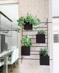 Maintenance Indoor Vertical Garden Ideas