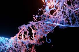 genetic testing uk myogenes