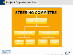 Project Organization Chart Template Luxury Sap Sample