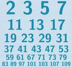Números primos ✓, los átomos de las matemáticas
