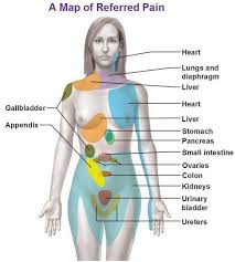 Lymph Nodes Body Map Map Of Referred Pain