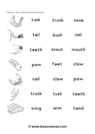Preschool science body parts #worksheets with printable. Animal Body Parts Vocabulary Worksheet For 1st 2nd Grade Lesson Planet
