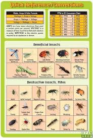 Insect Identification Bugs Pests Diseases Opengrow