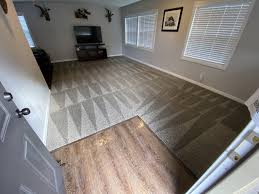 hypoallergenic carpet cleaning a 1
