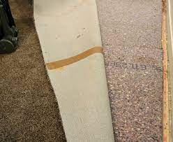 wet carpet tips to prevent mold and