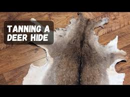 how to tan a deer skin hide diy