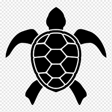 4 cara untuk menggambar kura kura wikihow . Ilustrasi Kura Kura Hitam Kura Kura Shell Raphael Teenage Mutant Ninja Turtles Logo Kura Kura Hewan Logo Siluet Png Pngwing
