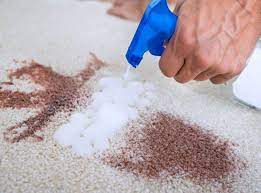 carpet cleaning bellevue hill