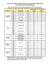 rug levels chart form fill out and