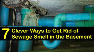 get rid of sewage smell in the basement