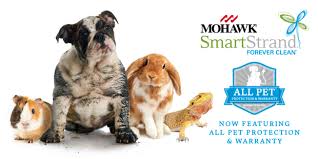 new all pet protection and warranty