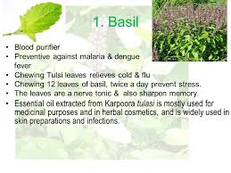 Medicinal Plants And Their Uses Ppt Video Online Download