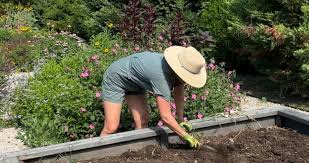 Texas Garden Survive Triple Digit Heat