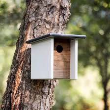 Best Birdhouses For Your Yard