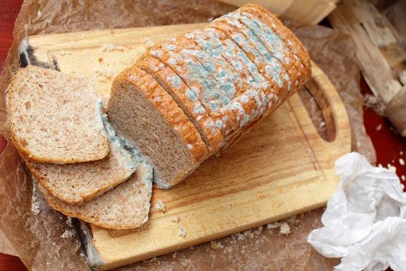 Molded bread