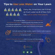 Relax, once you understand how important it is to consider the following, you will become an expert on watering your lawn in no time. How To Use Less Water On Your Lawn The Turfgrass Group Inc