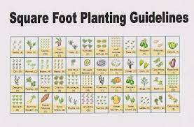 square foot gardening layout