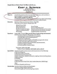 Fantastic Examples For Resumes Objective About Simple Resume