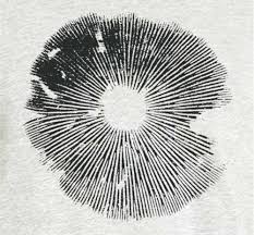 Magic Mushroom T Shirt Spore Print Ringer Tee