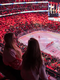red wings fans appreciate view from on