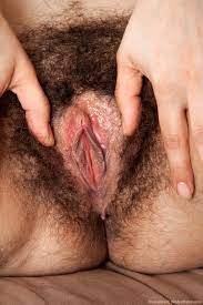 We Are Hairy Wearehairy Model Brand New Closeup Hairy Pussies Xxxbabe Sex  HD Pics