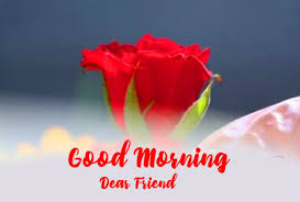 Good morning flowers for my lovely friend. Good Morning Dear Images Download Free With Quotes Good Morning