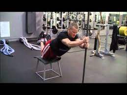 functional muscle fitness exercise of