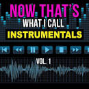 That's What I Call Instrumentals, Vol. 1