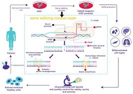 crispr cas9 gene editing protocol for