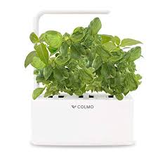 Indoor Herb Garden Kit With Led Spectrum Hydroponic Herb Garden Kit Basil Parsley Seed Garden