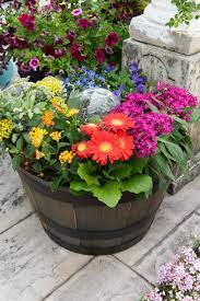 How To Plant A Rainbow Container Garden