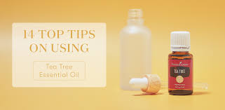 14 top tips on how to use tea tree oil