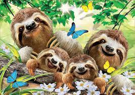 hd sloth wallpapers peakpx