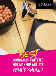 best concealer palettes for makeup