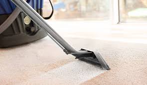 professional area rug steam cleaning in