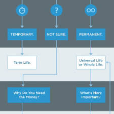 Insurance process management with flow charts workflows. Types Of Life Insurance Flow Chart Visual Ly