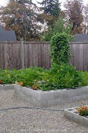 concrete block raised garden bed