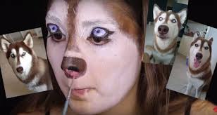 this makeup tutorial for dog is