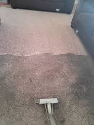 professional cleaning carpet care in