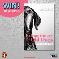 Explore the 254 dogs (1080x1920) wallpapers for and download freely everything you like! Win 1 Of 3 Copies Of Extraordinary Old Dogs By Laura Greaves Australian Dog Lover