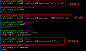git修改用户名 邮箱和密码 大木瓜 博客园