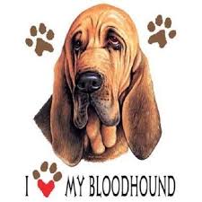 Details About I Love My Bloodhound Dog Heat Press Transfer