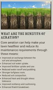 When should i aerate my lawn? Pin Auf Lawn Care