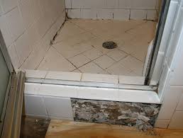 Be Aware Of Black Mold In Shower To