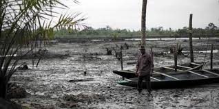 Shell accused of concealing damage to health from Nigerian oil spills |  Friends of the Earth Europe