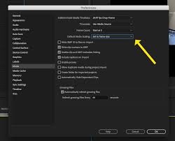 adjust picture size in premiere pro